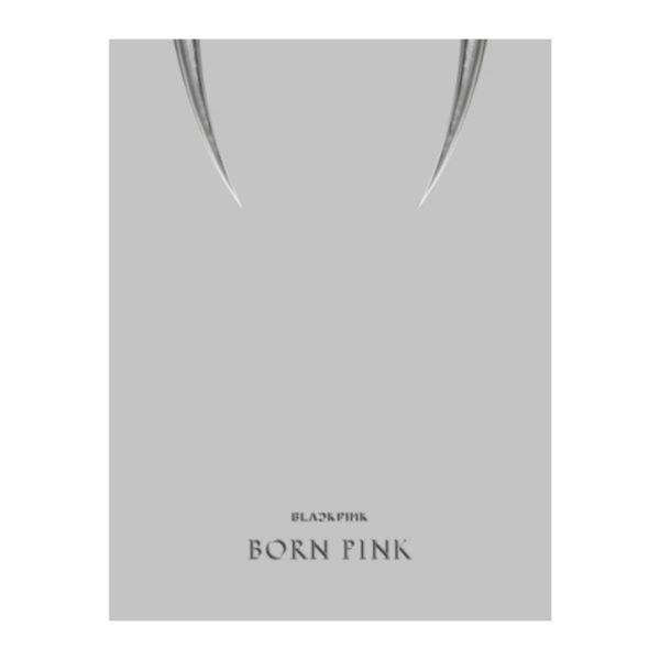BORN PINK BOX SET - Imagen 3
